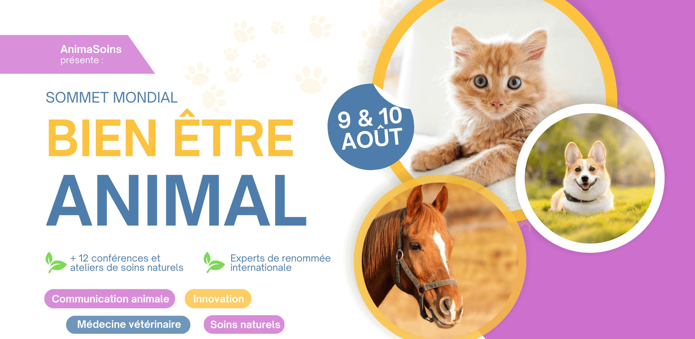 Affiche pour le Sommet mondial pour le bien être animal en ligne