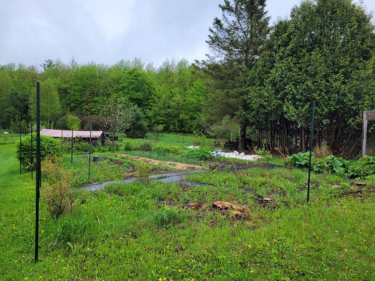 Jardins HerbaSimple en mai 2025
