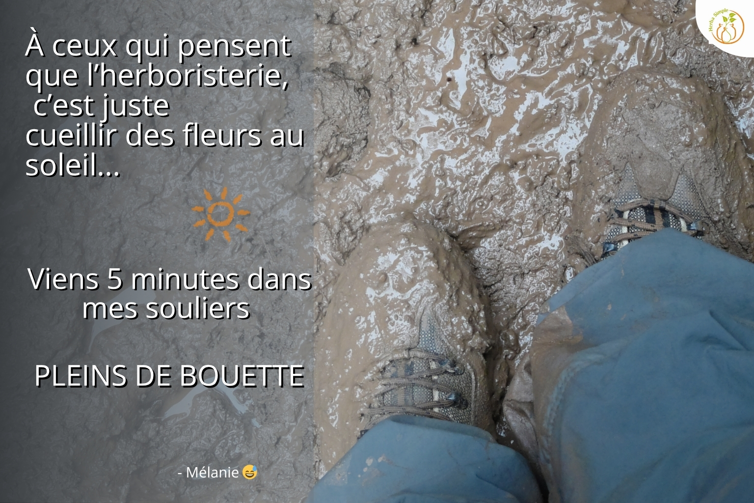 Récoltes de plantes médicinales en automne, les souliers pleins de bouette
