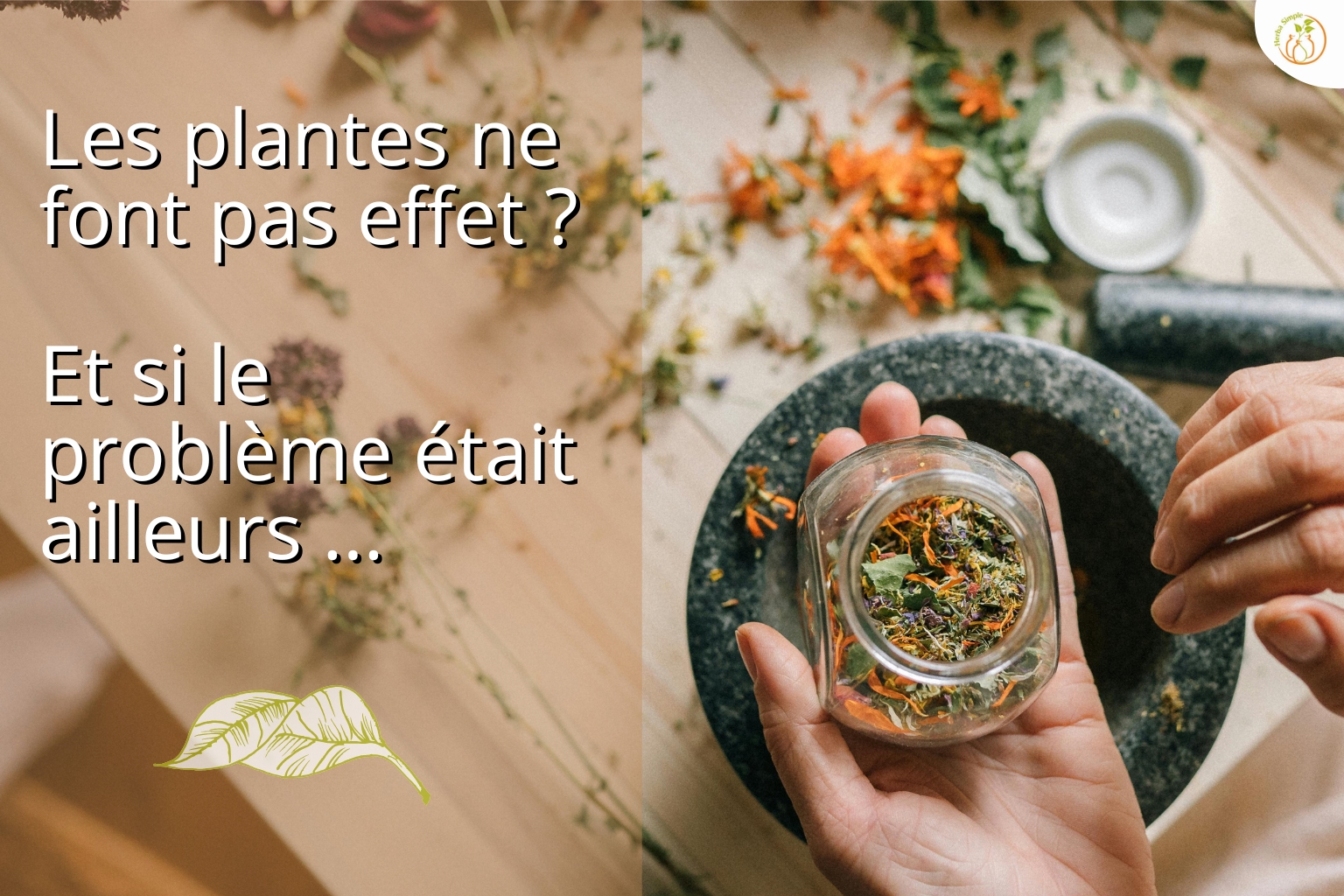 Pourquoi les plantes ne fonctionnent pas toujours ?