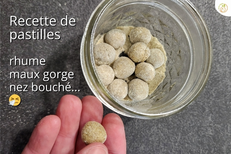 Recette de pastilles maison pour la gorge : guimauve, miel et eucalyptus