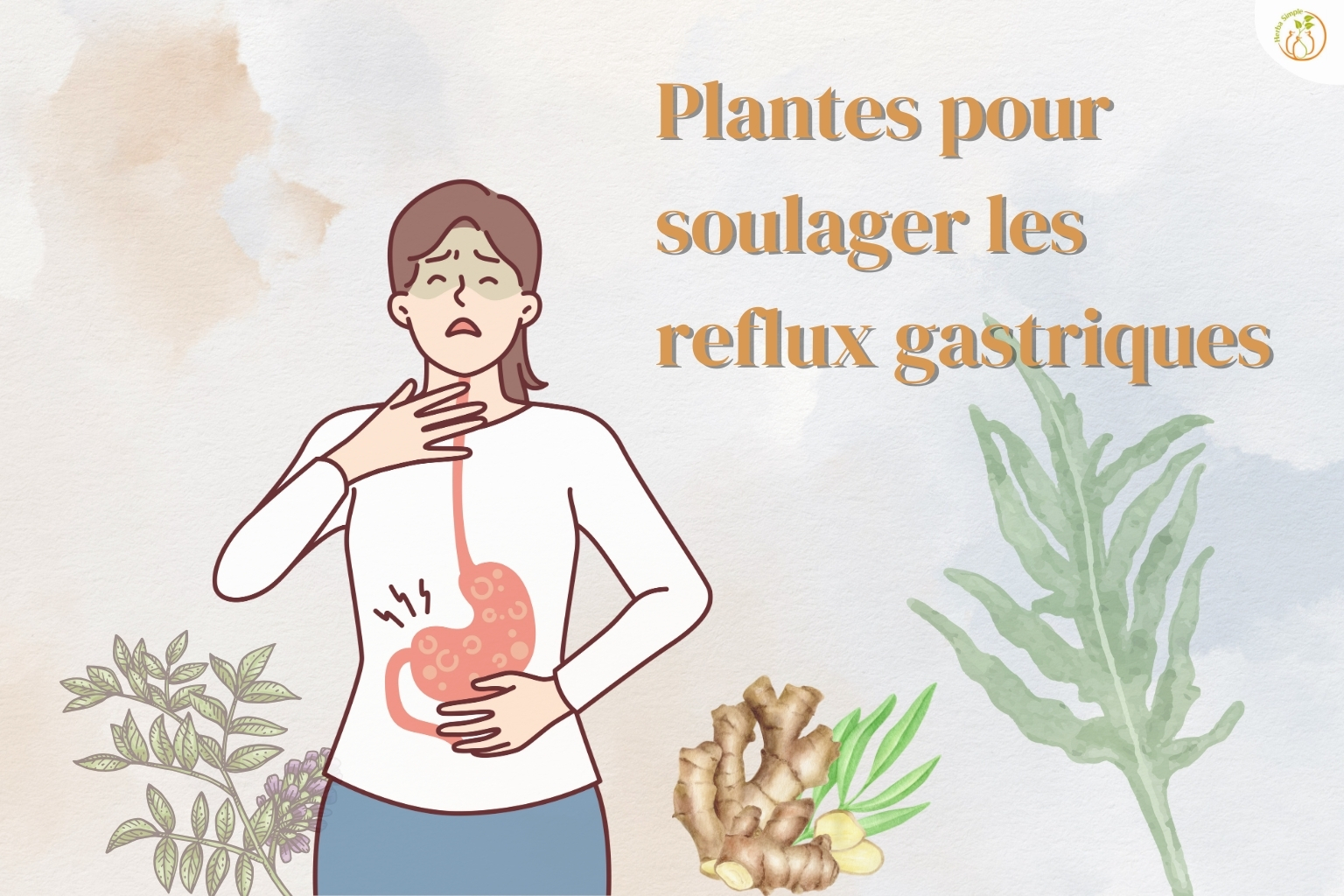 plantes pour soulager les reflux gastriques