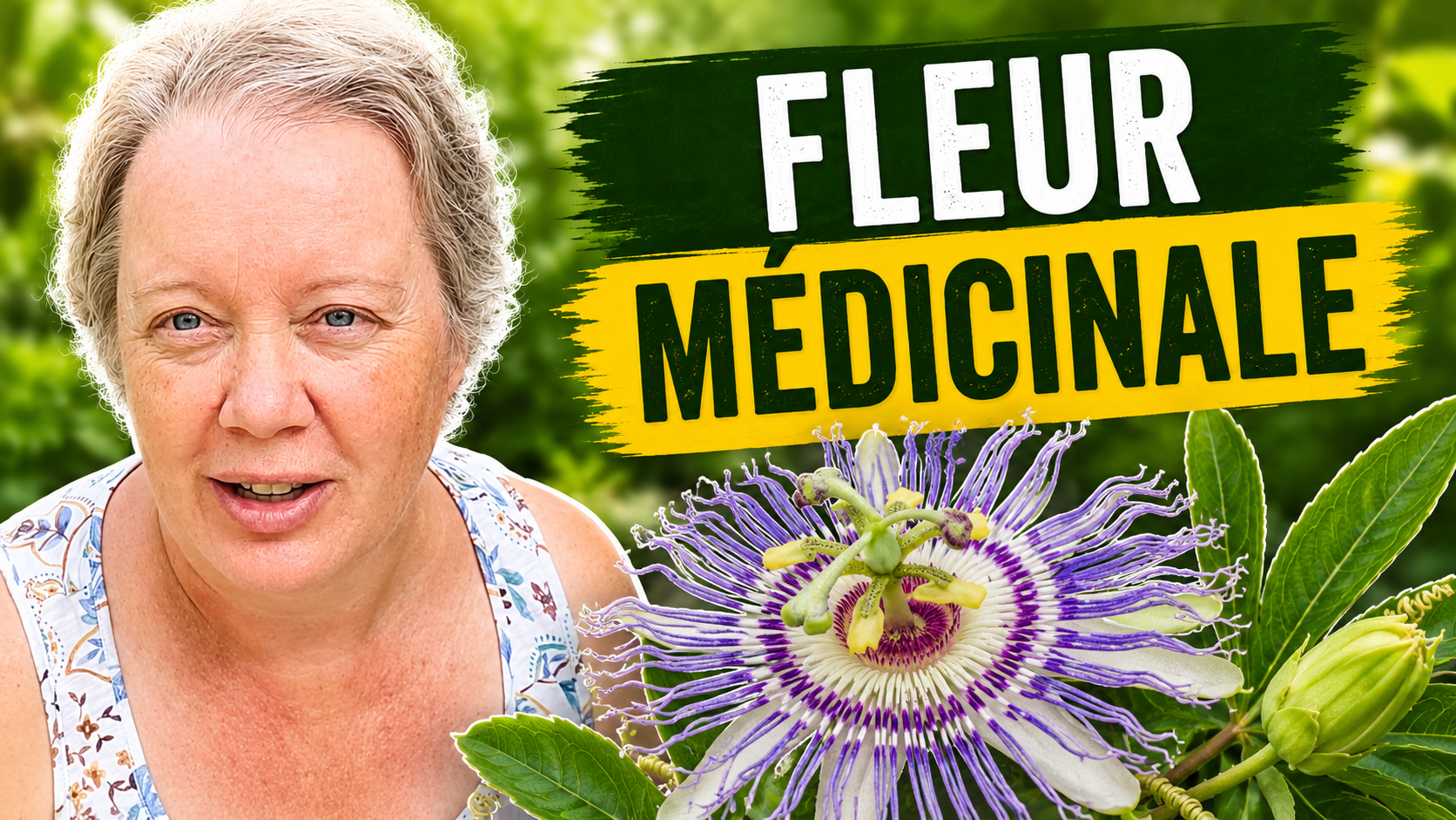 Passiflore incarnata, plante médicinale pour l'anxiété et l'insomnie