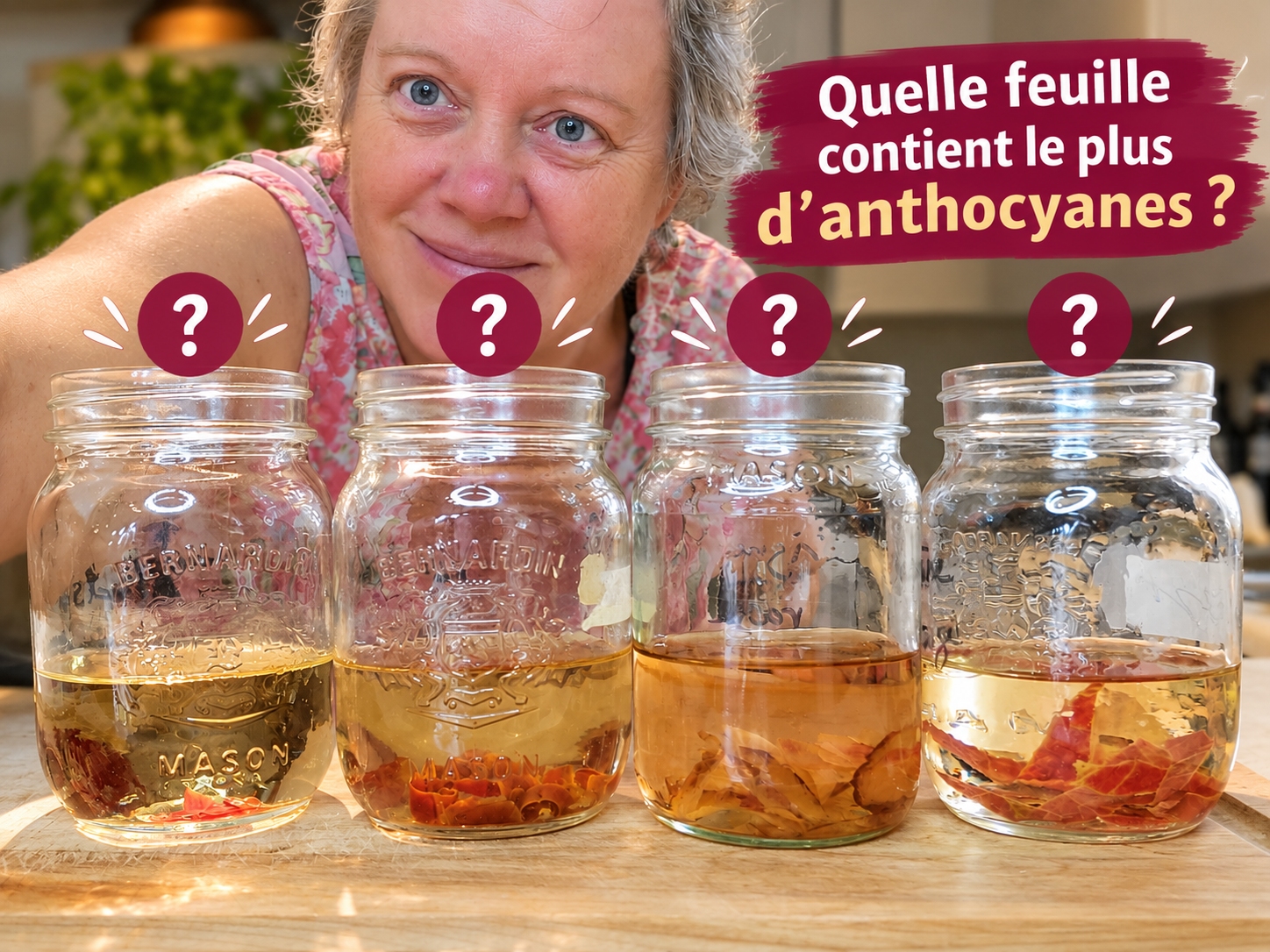 Anthocyanes dans les feuilles d'arbres et arbustes rouge à l'automne